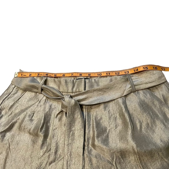 LOFT Champagne Shimmer Pleated Tie Waist Shorts - Picture 9 of 11